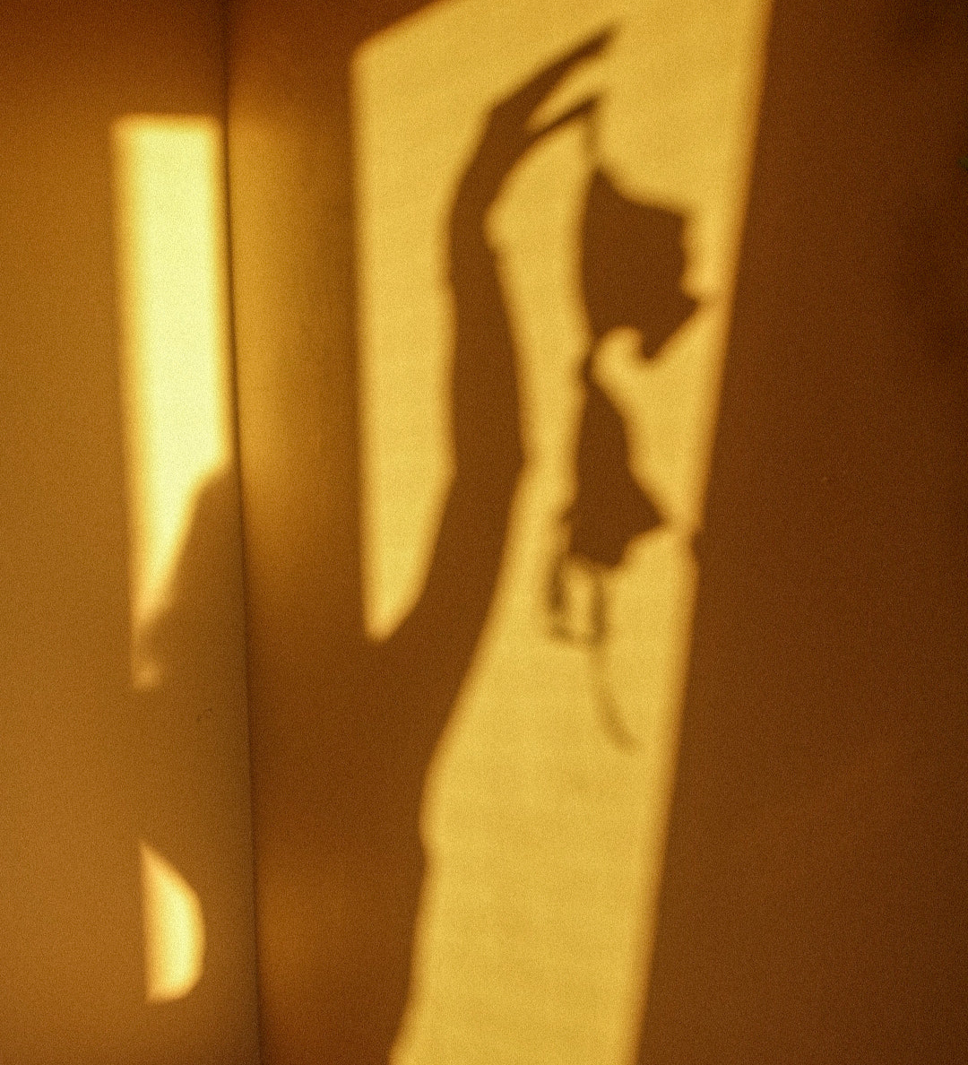 shaw on sunny wall of a woman holding the silk bralette by Maison Manea in one hand
