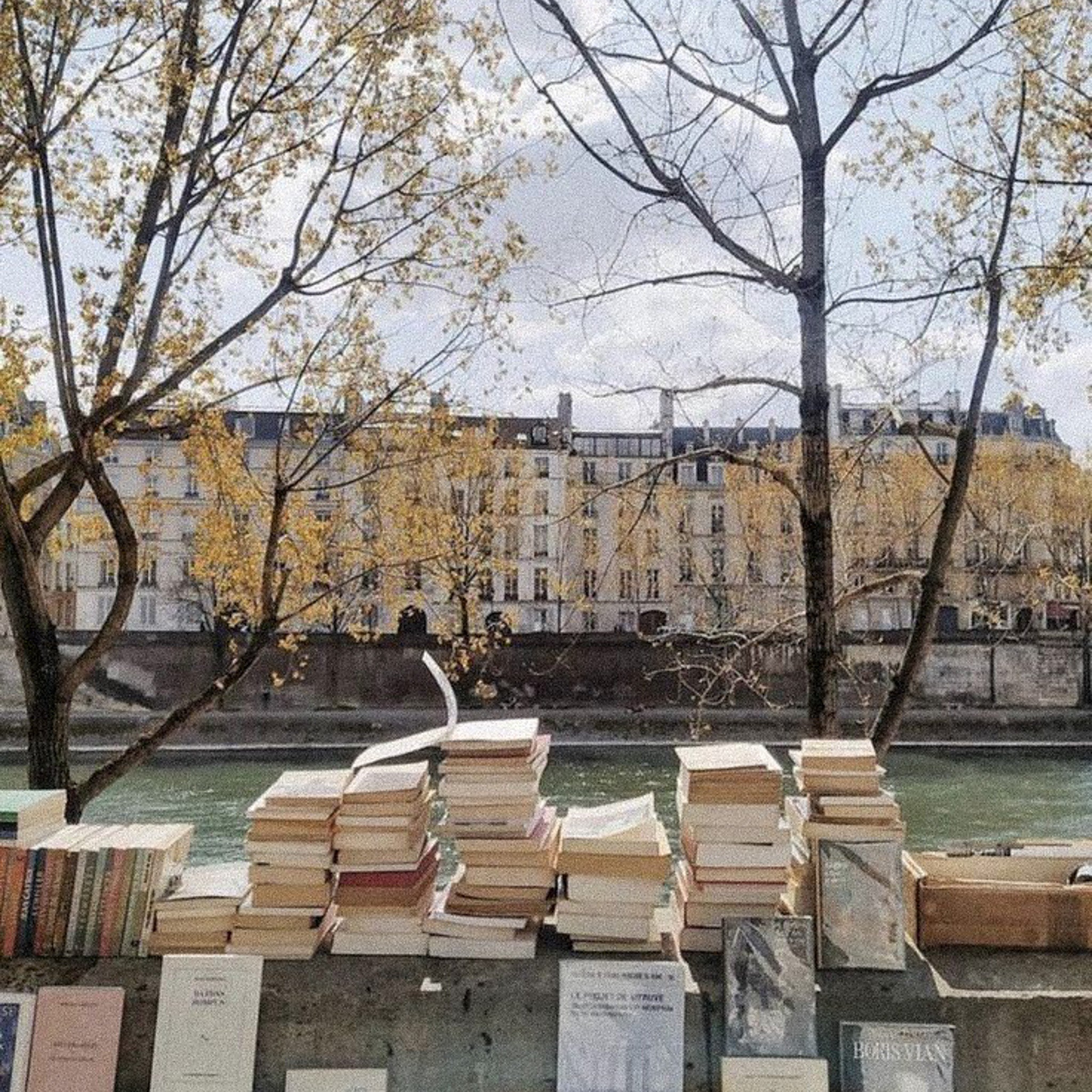 Book sellers near the Seine in Paris 